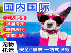 常州奔牛航空物流国际宠物托运 【国